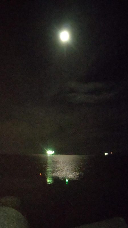 尺アジナイトゲーム